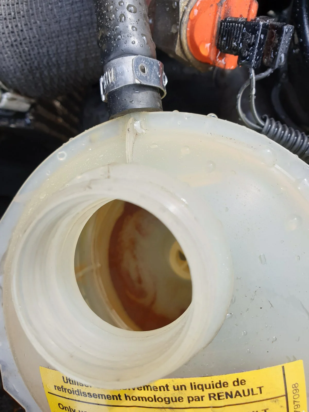 20190601_091303.webp