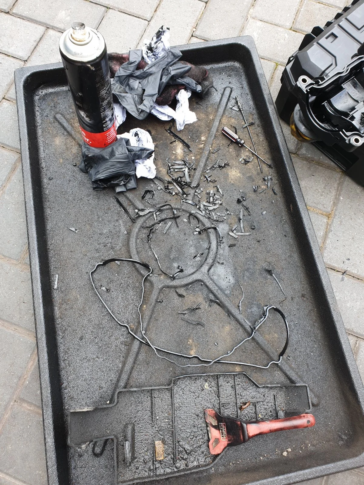 20190719_113229.webp