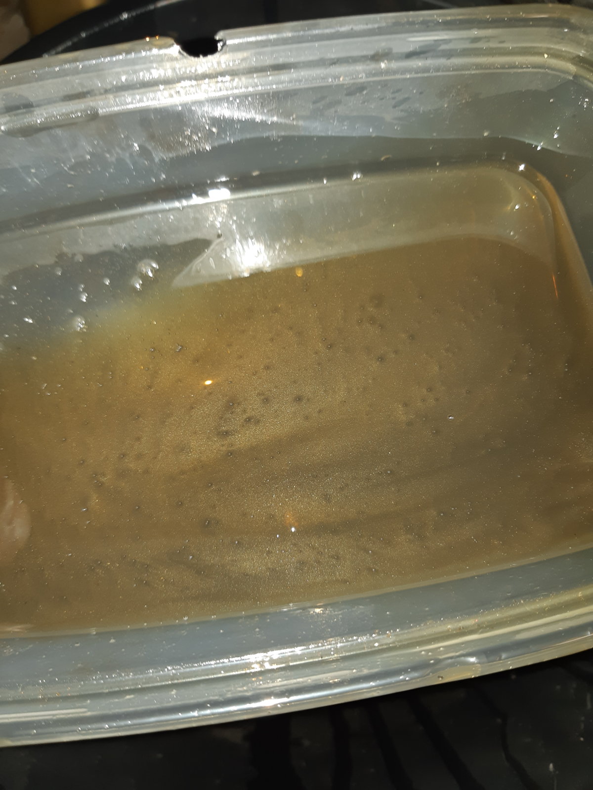 20190720_183758.jpg