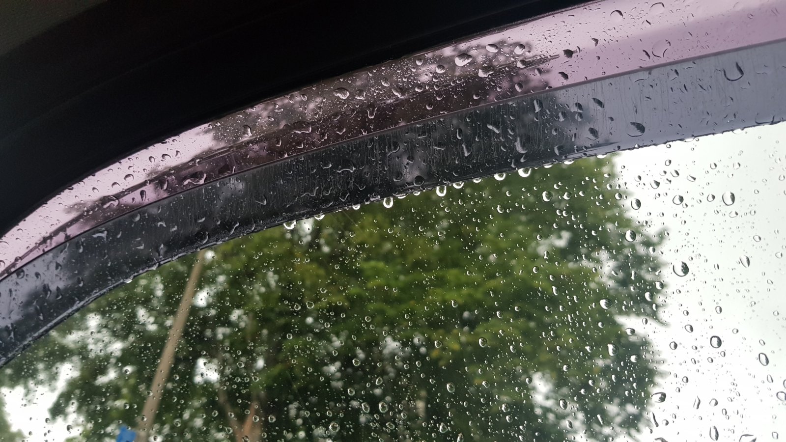 20190730_173420.jpg