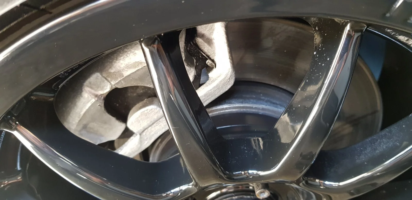 20190817_124151.webp