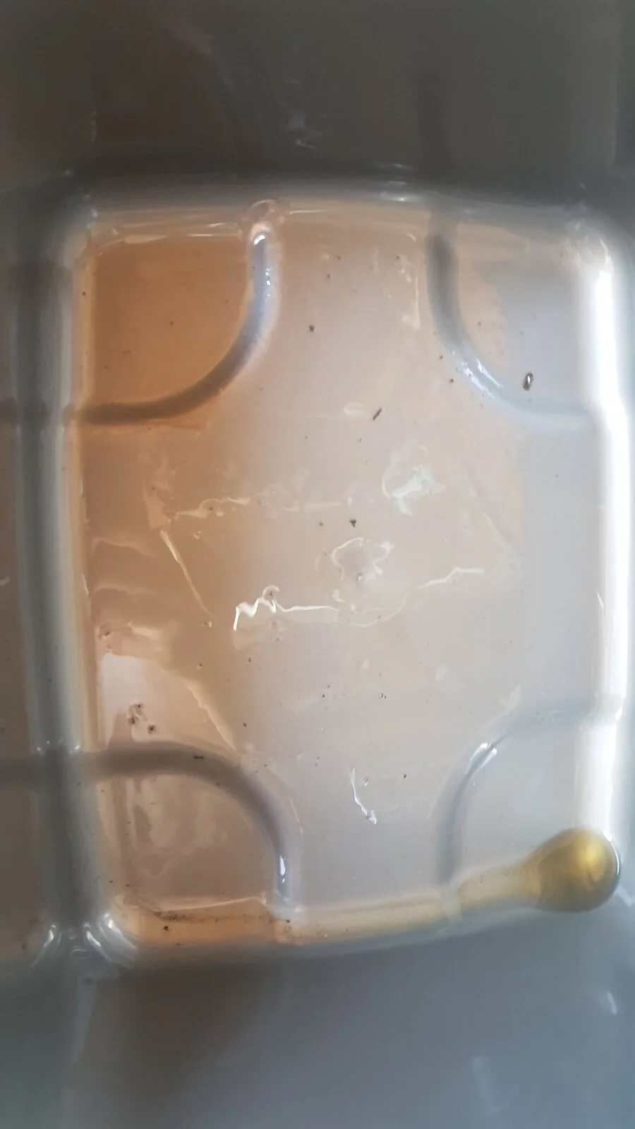 20190824_121339.webp