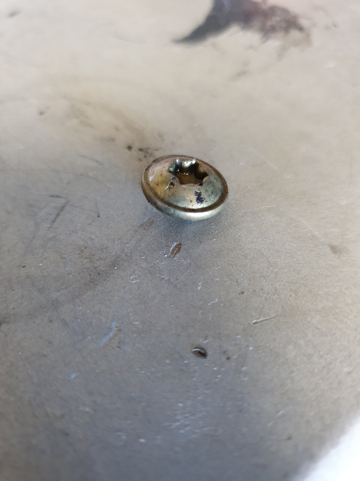 20191006_164523.jpg