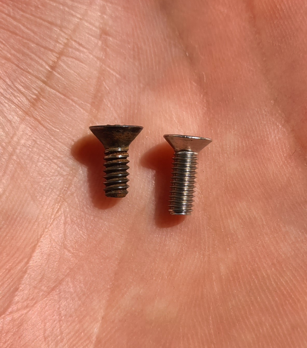20201006_152813.jpg