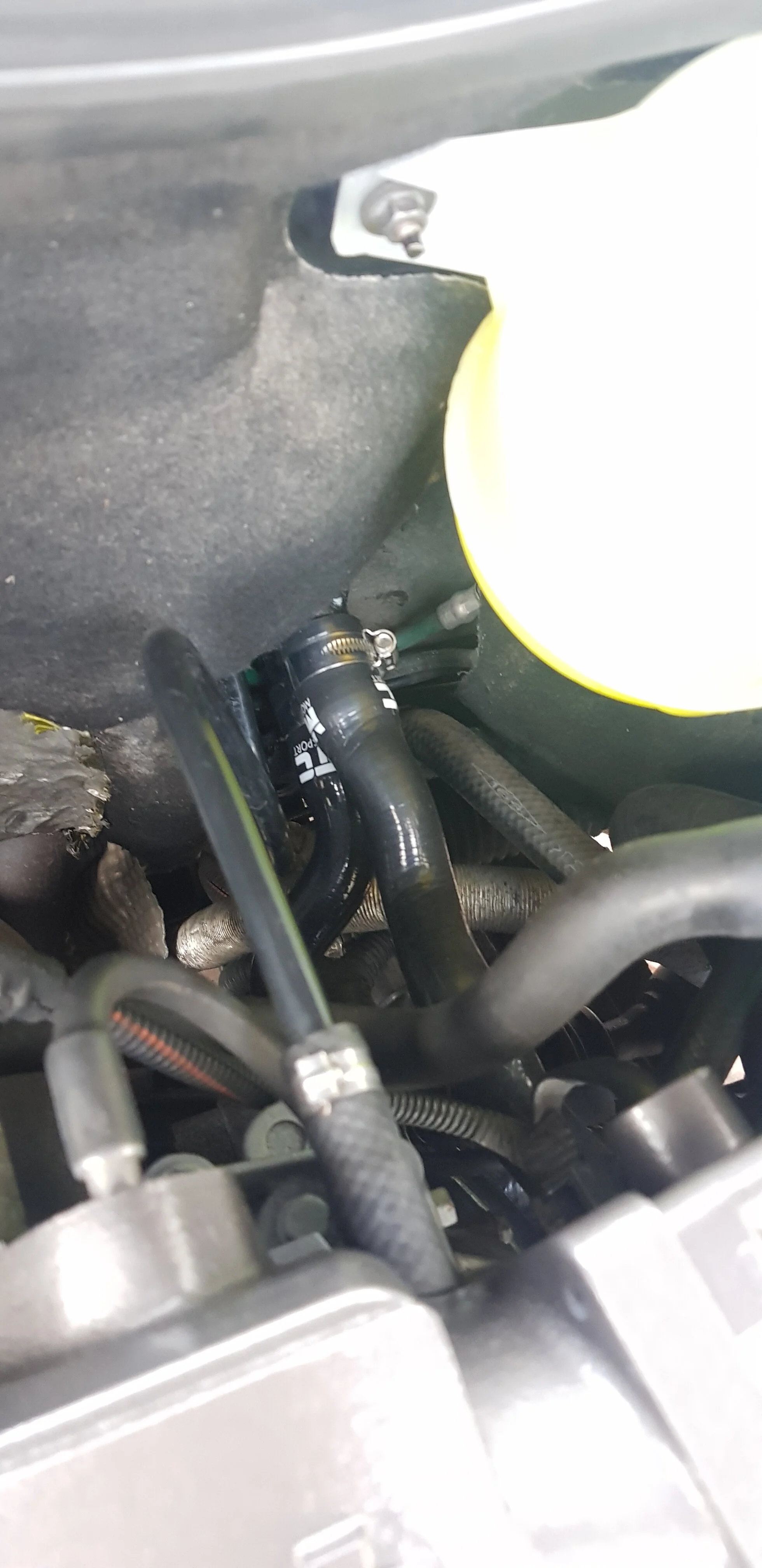 20201009_164543.jpg
