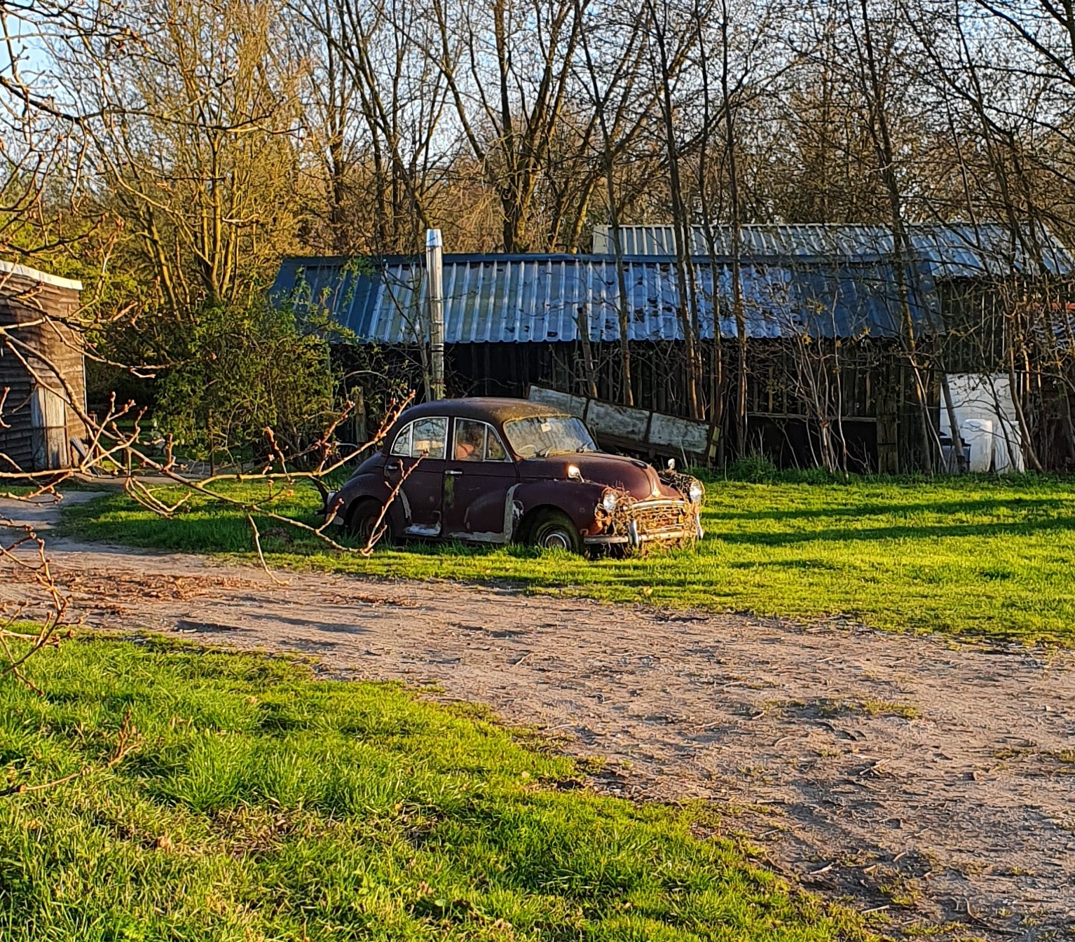 20210413_185333~2.jpg