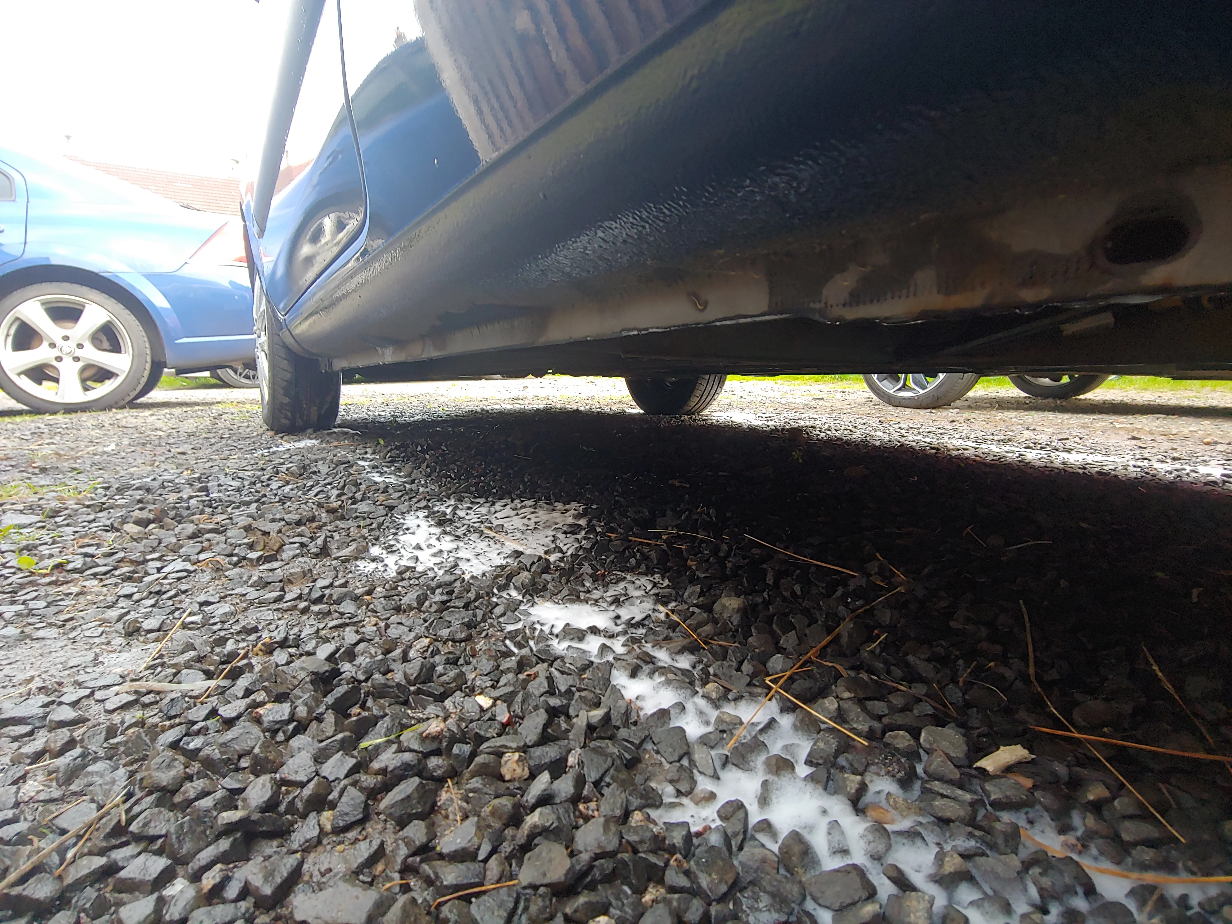 20210925_174153_HDR.webp
