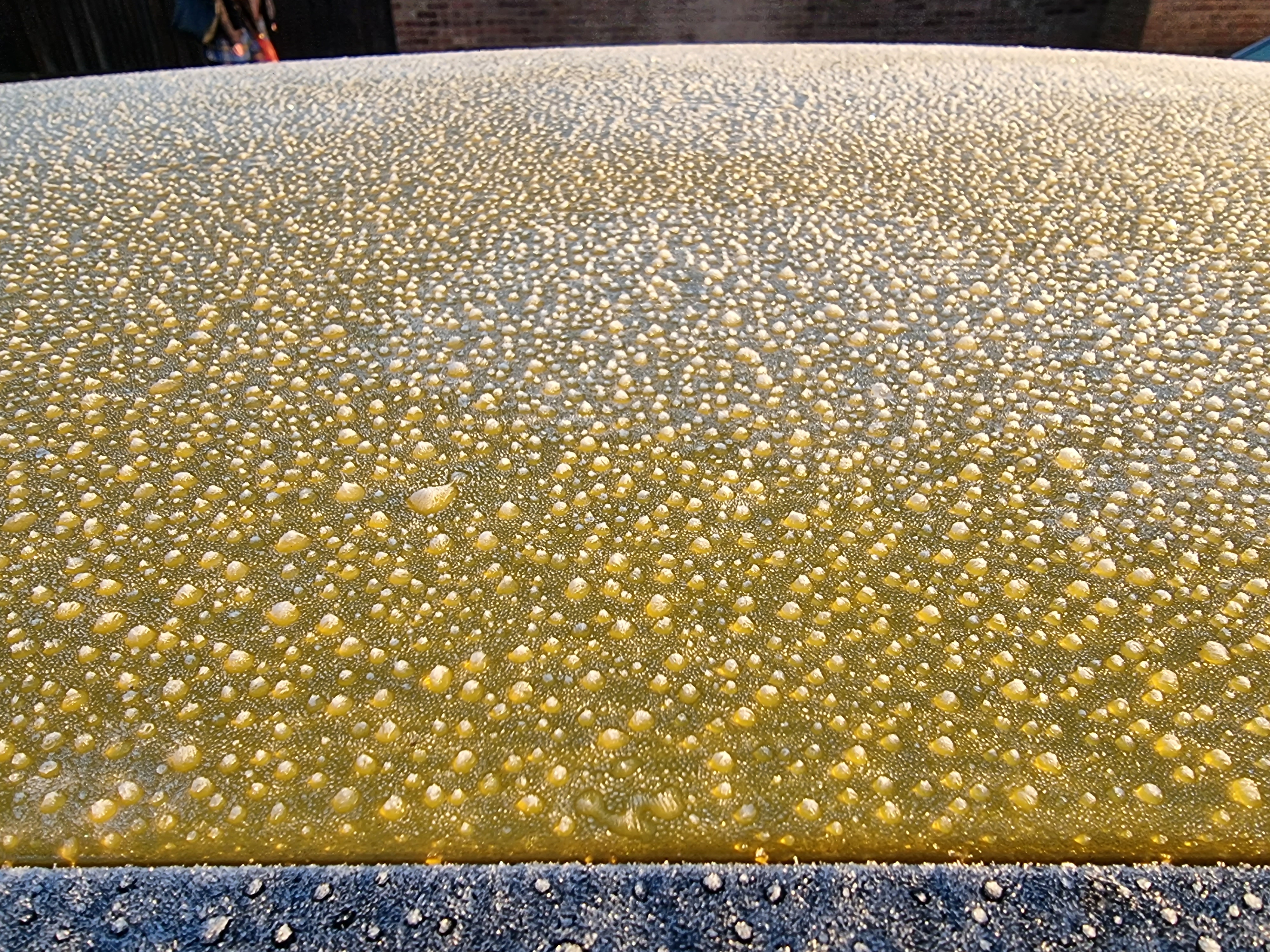 20220120_083015.jpg
