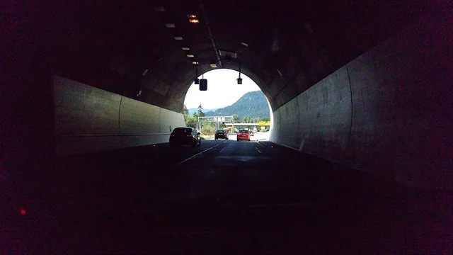 20250819664_9b084dd9c8_z.webp
