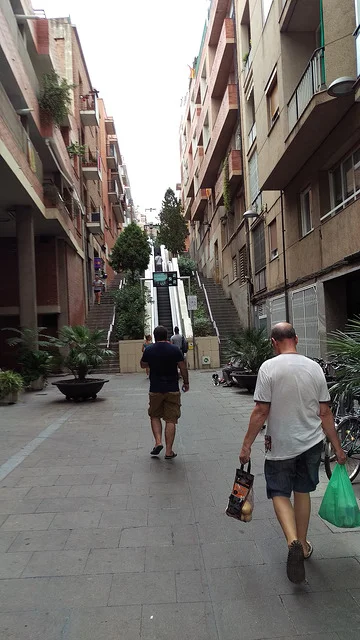 20251214534_401e486cdd_z.webp