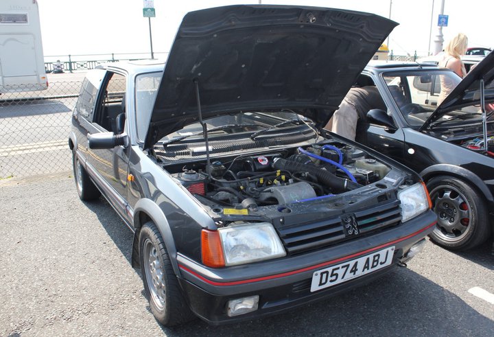 205 stock.jpg 205 stock.jpg