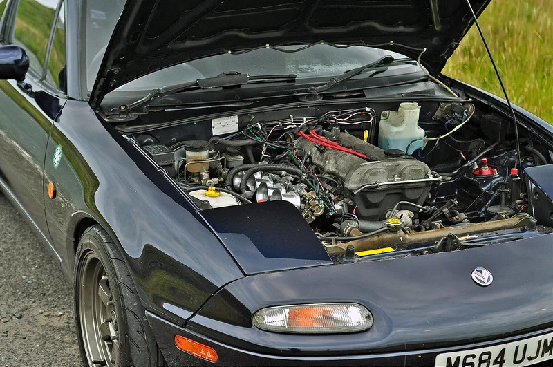 20605077926_e00d76baa6_c.webp