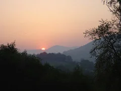 2074034452_019f03da69_m.webp