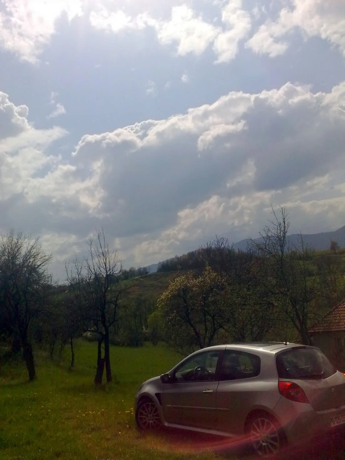 21.webp