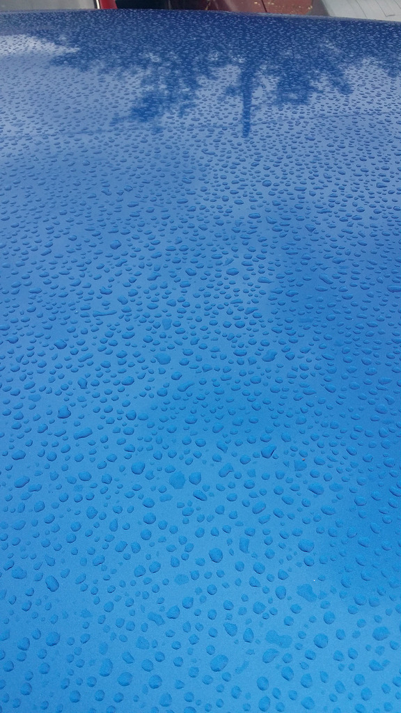 21168090635_91a64432a5_b.jpg