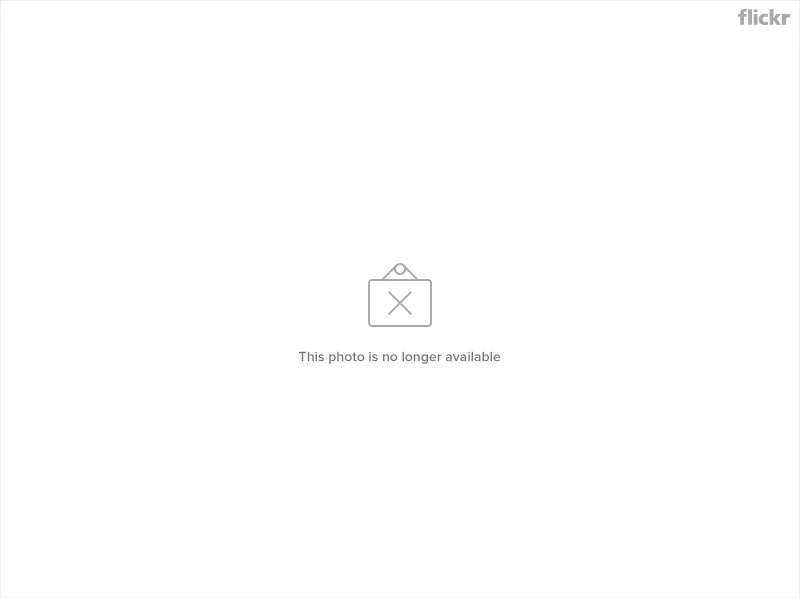 21204528191_43785c836e_c.webp