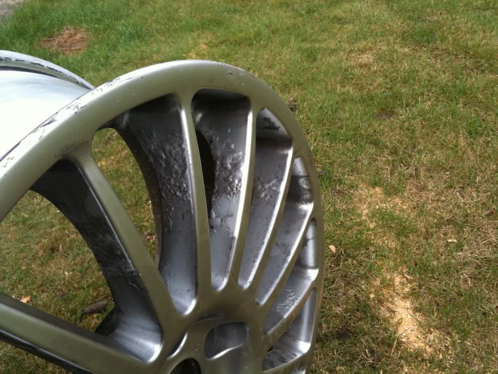 2130319f.jpg 2130319f.jpg