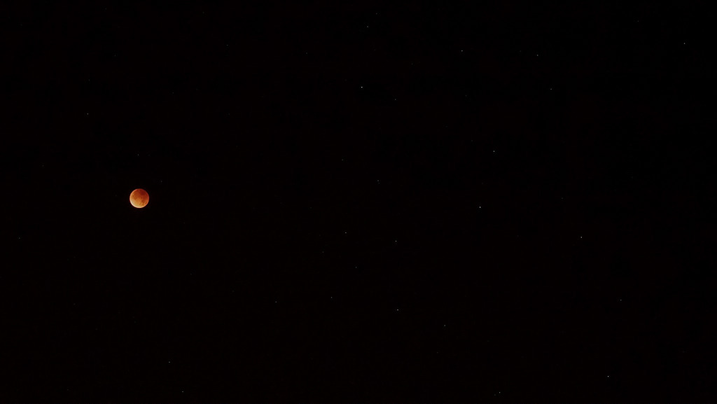 21805770505_21c2c1d41d_b.jpg