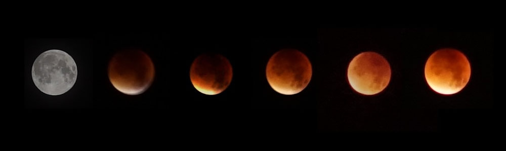 21808343625_08b751674e_b.jpg