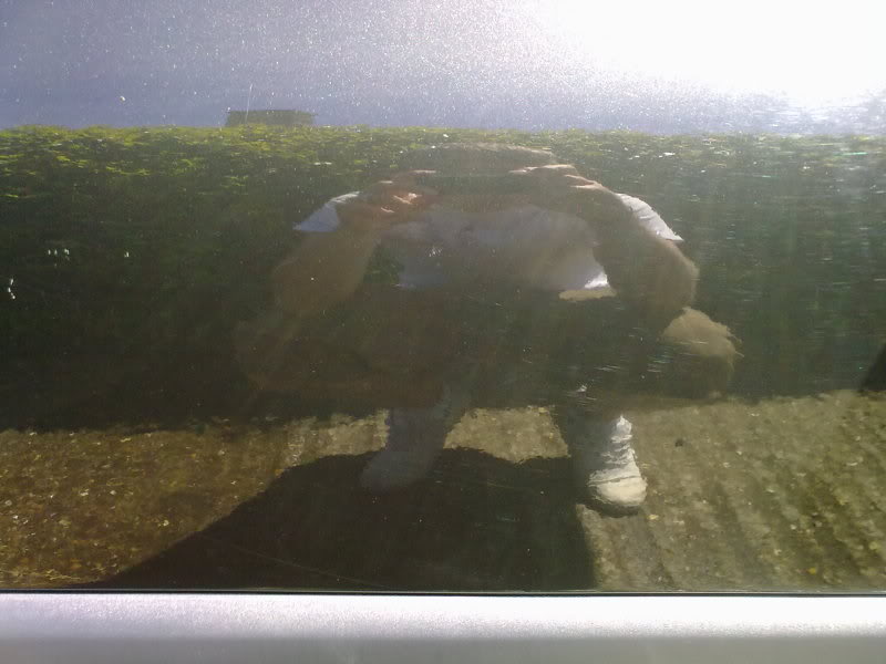 22052010265.jpg 22052010265.jpg