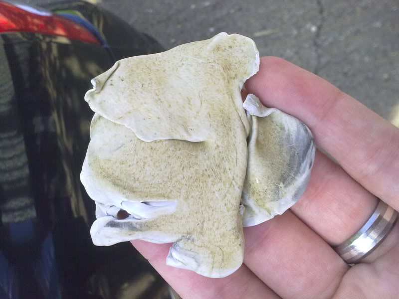 22052010268.jpg 22052010268.jpg