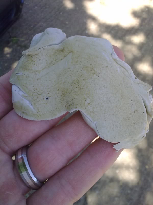 22052010269.jpg 22052010269.jpg