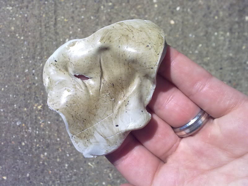 22052010272.jpg 22052010272.jpg