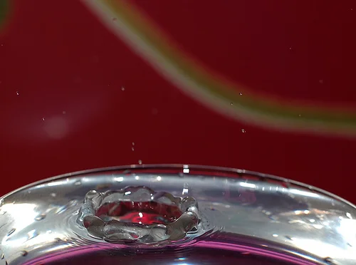2209453051_3a77aa8117.webp