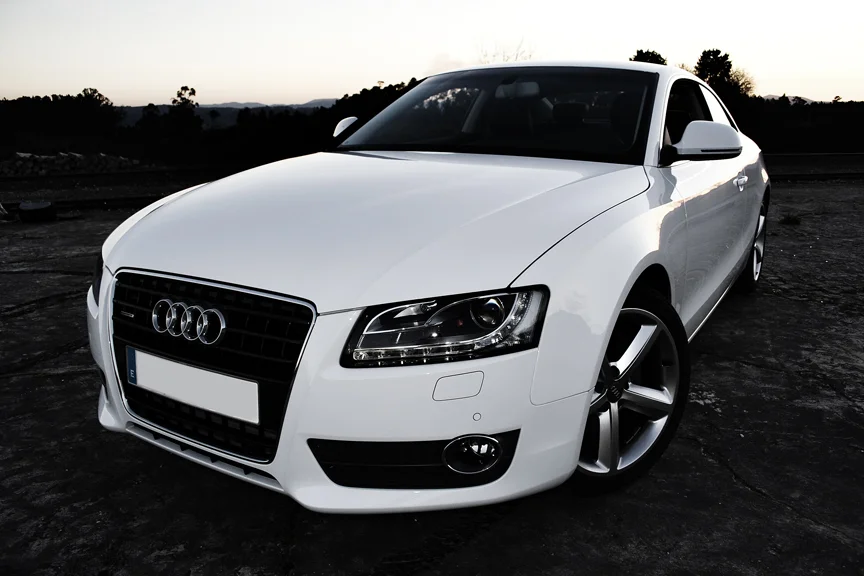 2274201205_e02f9f90dc_o.webp