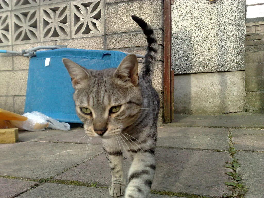 23042009092.webp