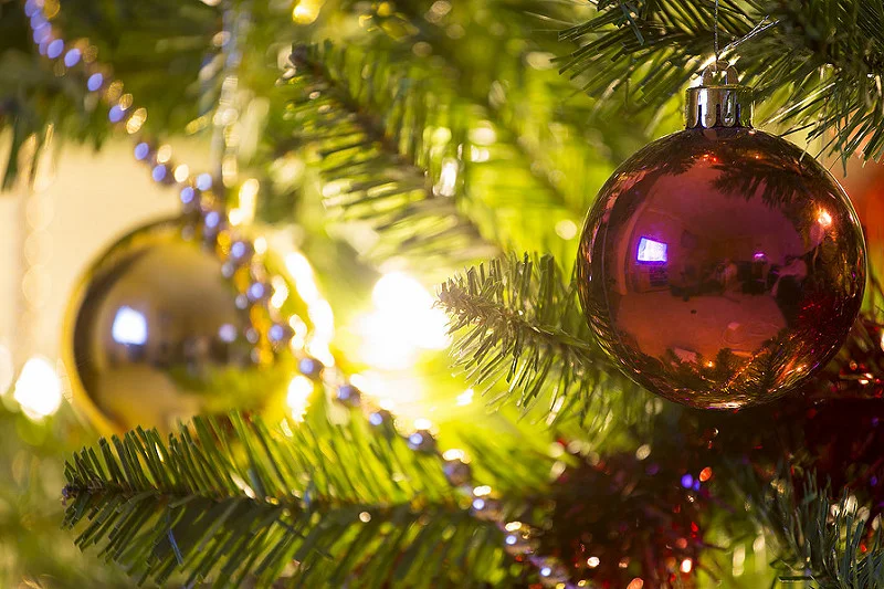 23766495842_95dbf7cb24_c.webp