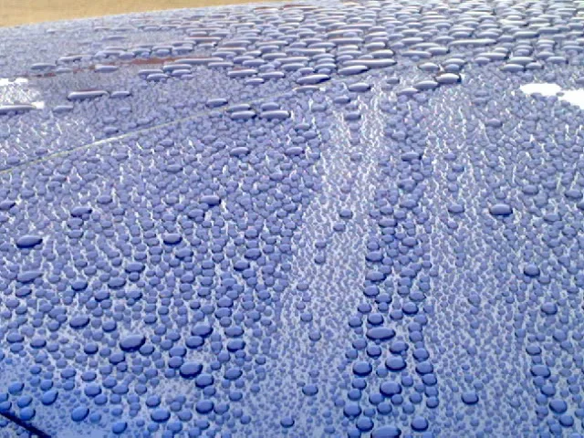 24102009097.webp