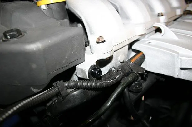 241_4169.webp
