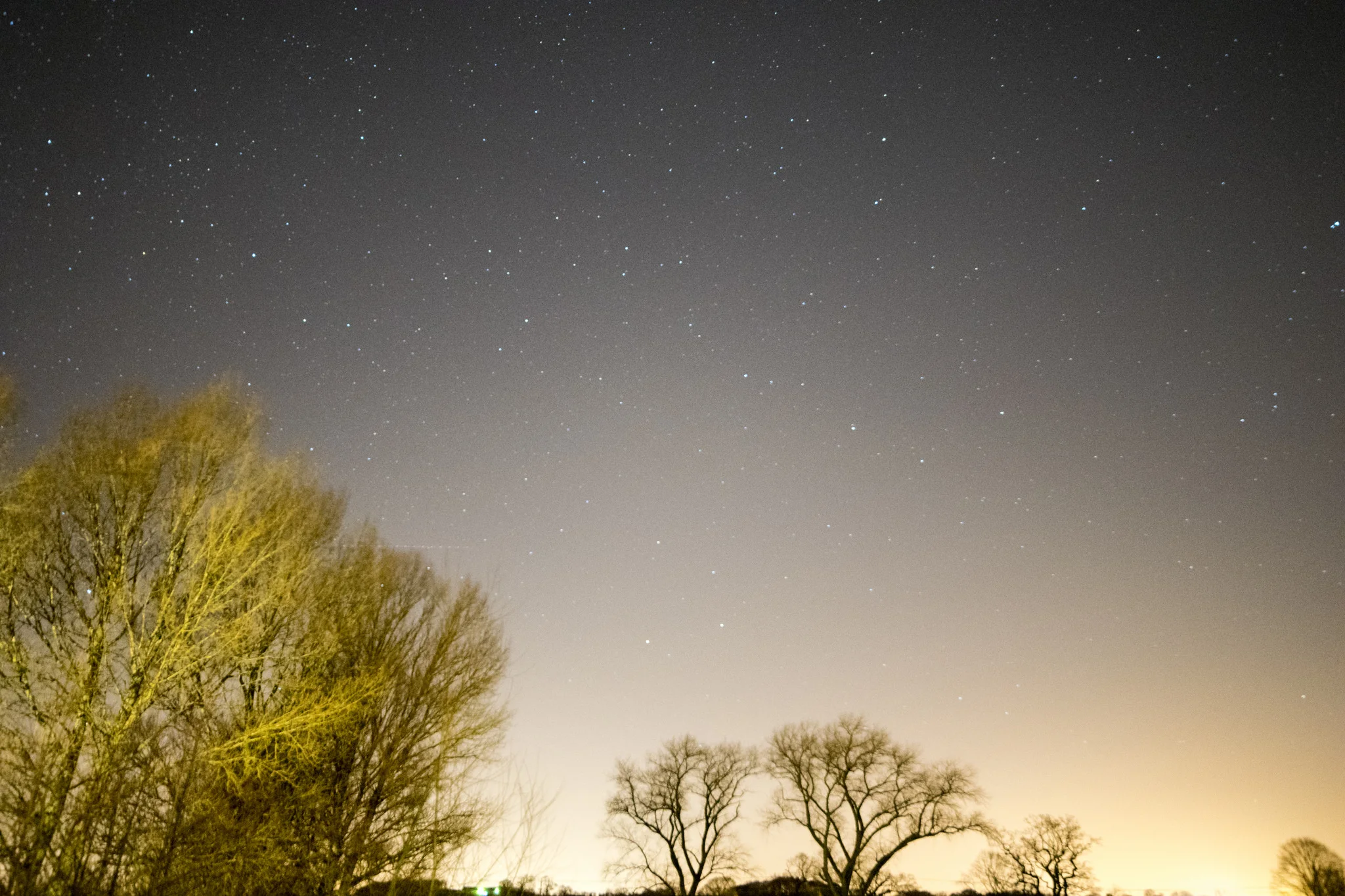 24248040945_83fff75af8_k.webp