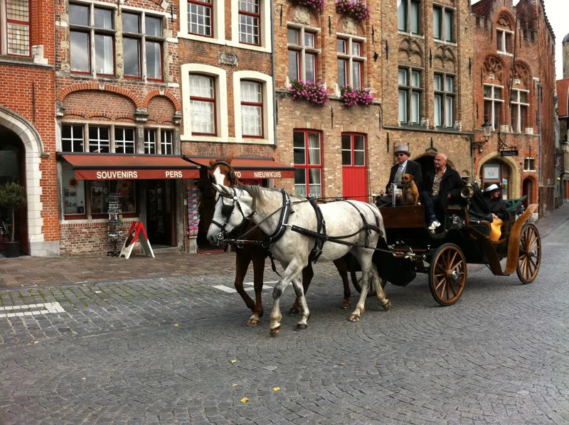 25.webp