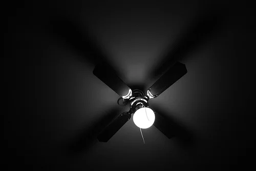 2515072663_d0f9938b39.webp