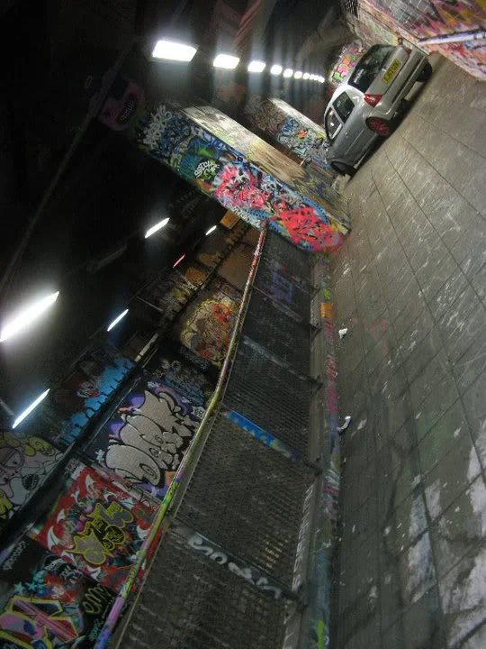 252100_10150726979640613_839830612_19856451_291118_n.webp