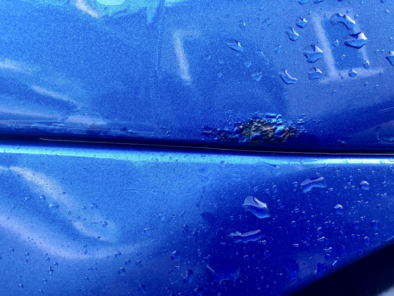 258FDC6B-D0C8-485B-A145-CCA1481E2368.jpeg