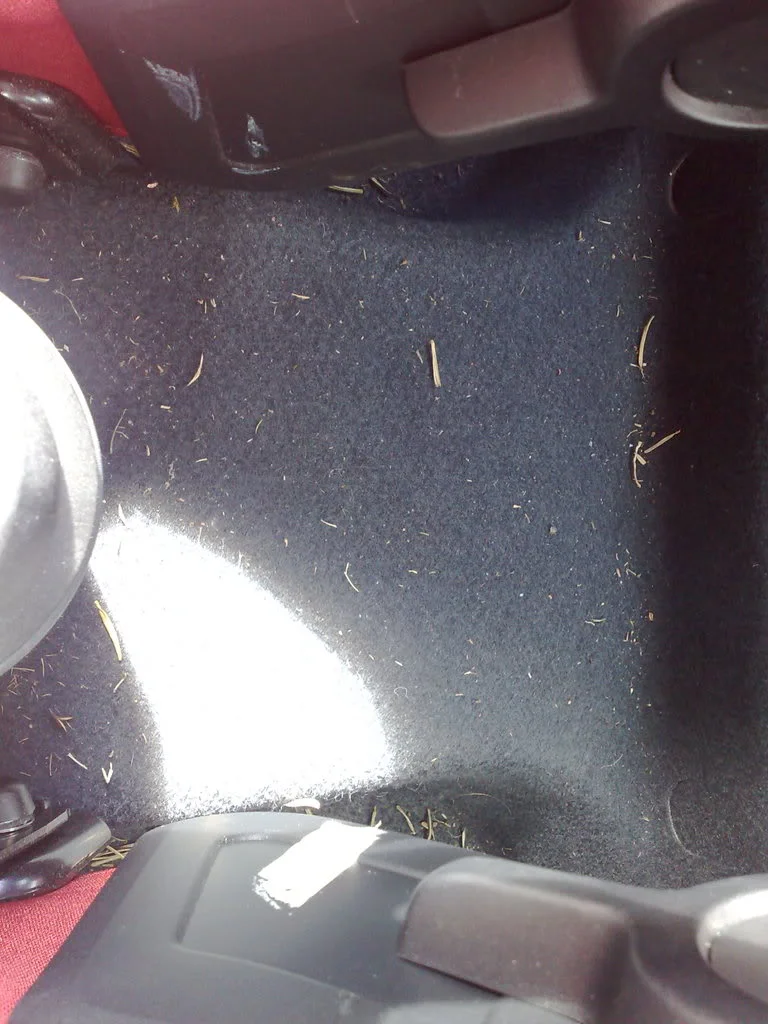 26062008045.webp