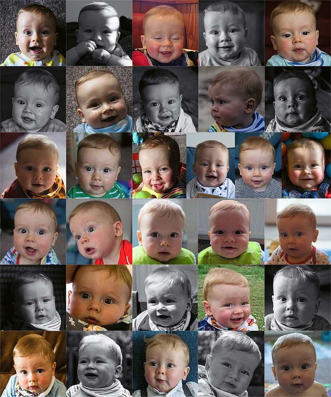 26795865314_c111beb862_c.webp