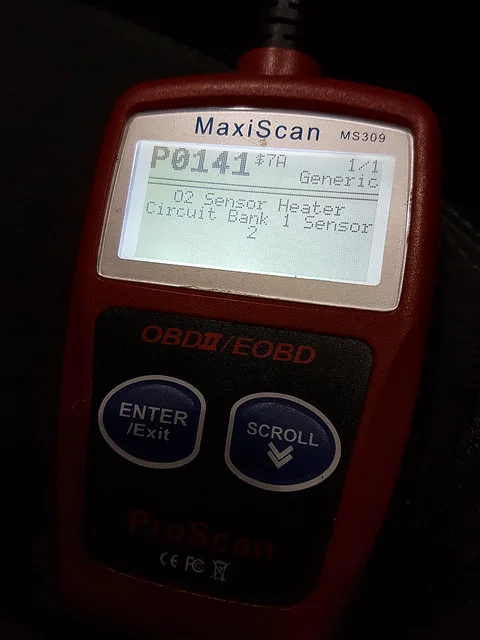 27357850677_1d71065357_z.webp