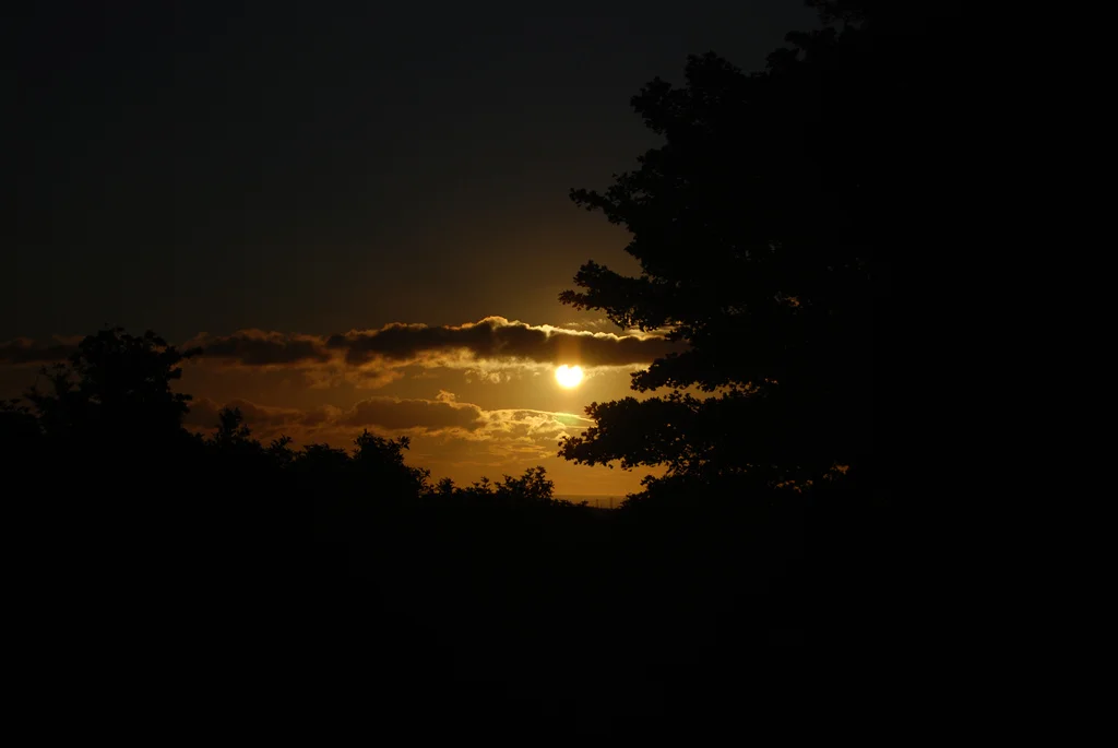 2750214561_a166cd32b6_b.webp