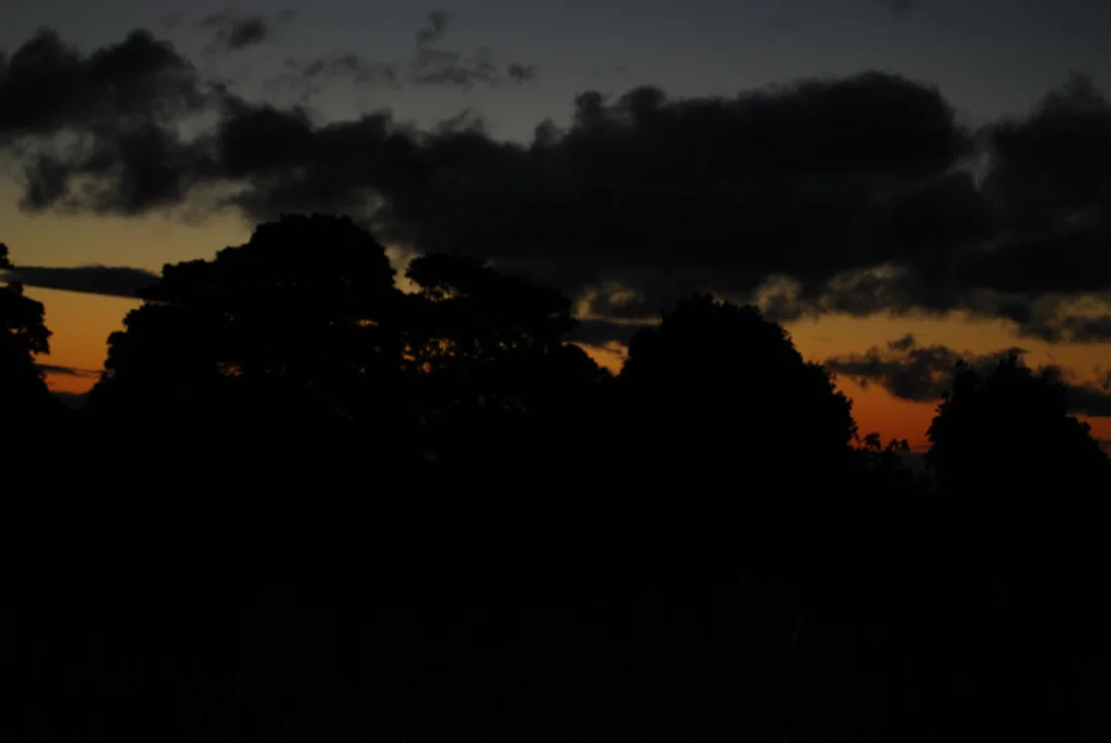 2751035040_e7cbea96e7_b.webp