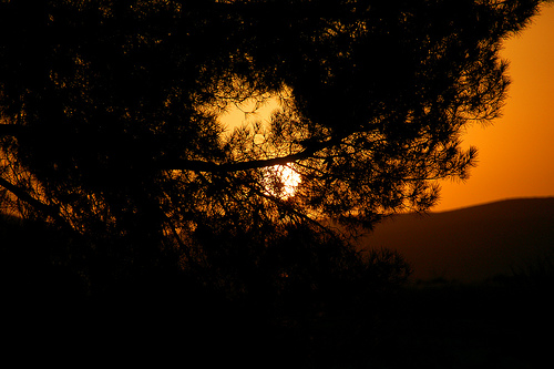 2753947207_48fb45eab6.jpg 2753947207_48fb45eab6.jpg