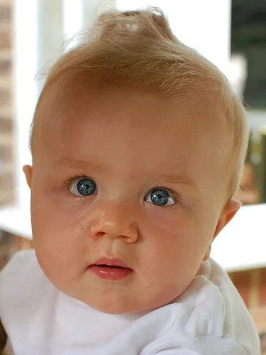 2754729962_c25d379bfa.webp
