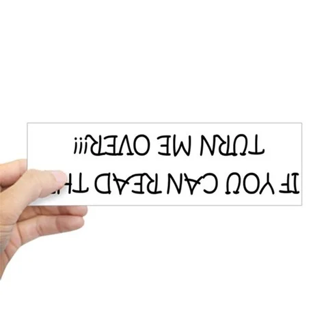 278119523v7_480x480_Front.webp
