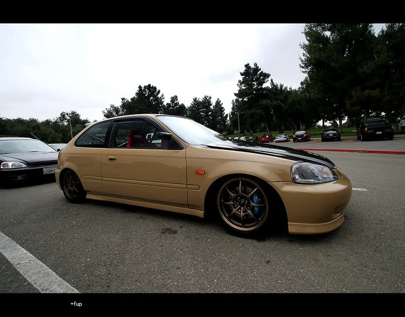 28.webp