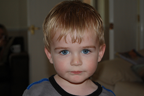 2829132976_816caf482d.jpg