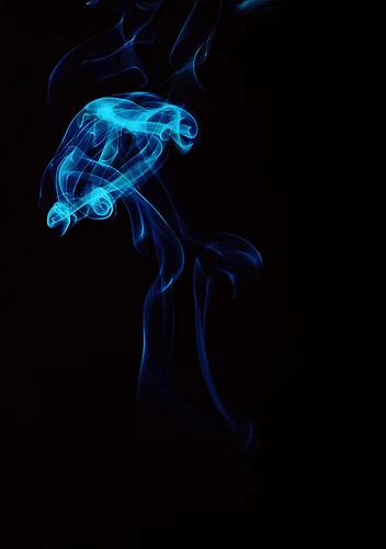 2882347539_317e8bc9c9.webp