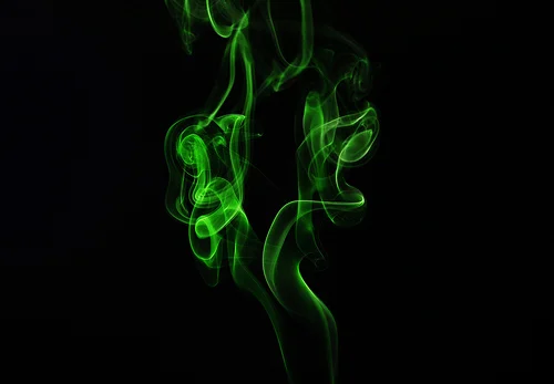 2882352153_2248522bc9.webp